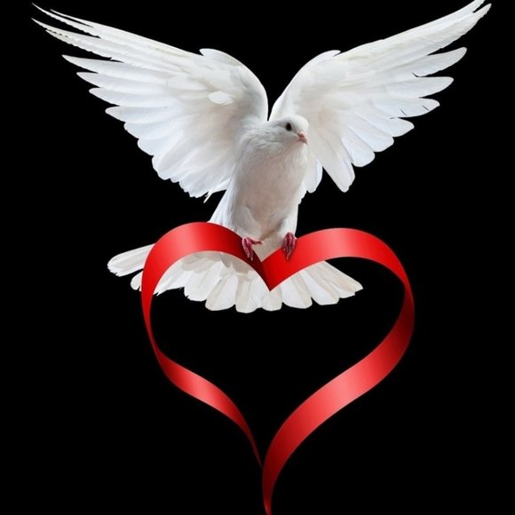 PEACE TO THE WORLD - Picture 2 of 3